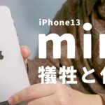 【買う前必見】1年使用レビュー。iPhone13 mini”小ささ”の弊害