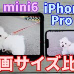 iPhone13 ProMaxとiPad mini6の動画サイズ比較レビュー！【6 7インチ／8 3インチ／14】