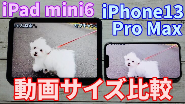 iPhone13 ProMaxとiPad mini6の動画サイズ比較レビュー！【6 7インチ／8 3インチ／14】
