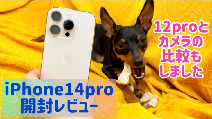 iPhone14pro開封レビュー/12proとの比較