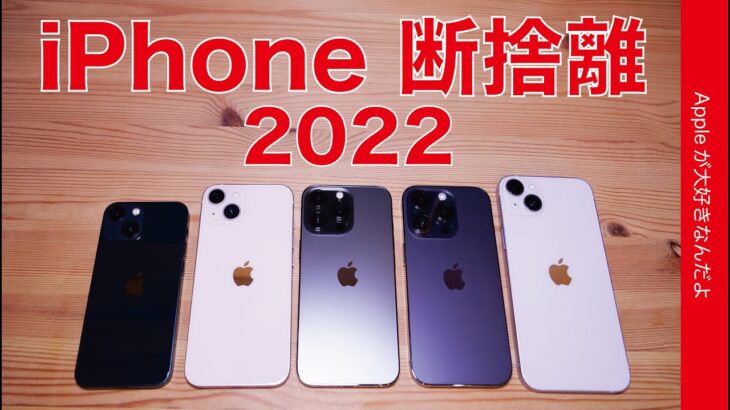 【コレは手放す】2022年秋 iPhone断捨離・メインとサブはコレにします。