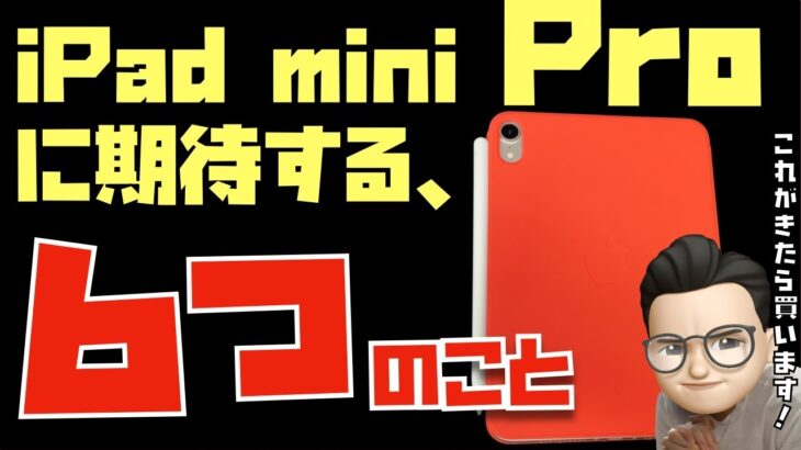 こうなったら買う！iPad mini 7がiPad mini Proになったら搭載されて欲しい６つの機能【Appleとーーーく２９６】