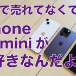 【やっぱり】世界で売れてなくてもiPhone 13 miniが大好きなんだよ・さらにアレがあれば完璧