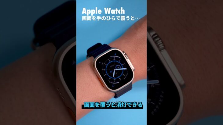 Apple Watchを買ったら覚えておきたい操作方法『手のひらで画面を覆う』