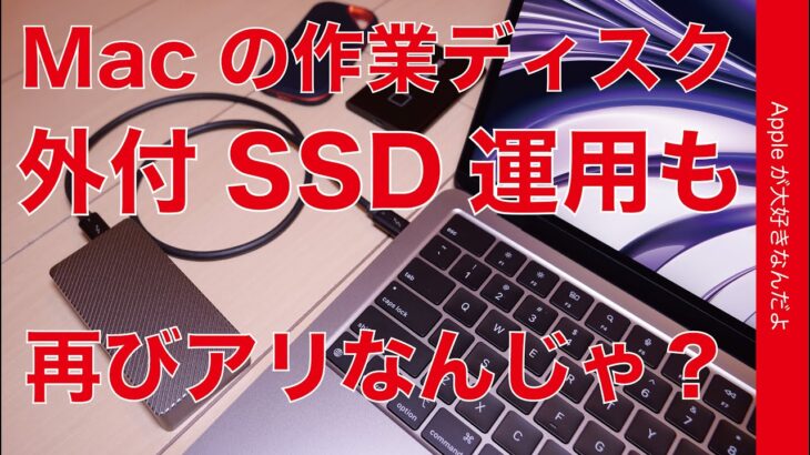 【値上げ時代の本体抑えめ】Thunderbolt SSDならMacの外付運用が再びアリかもな理由・実例お見せします