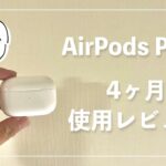 AirPods Pro2を4ヶ月使用レビュー │ やっぱりすごいノイキャンと向上した音質