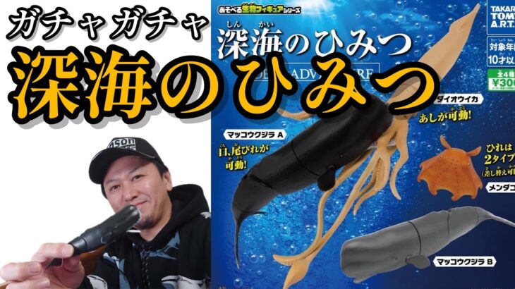 【ガチャガチャ】深海のひみつ〜DEEP ADVENTURE〜【＠タカラトミーアーツ】開封&レビューします。マッコウクジラ