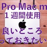 【満足度高すぎ】新型M2 Pro Mac mini 1週間・コスパ最強！消費電力少な！良いところ/知っておきたい事