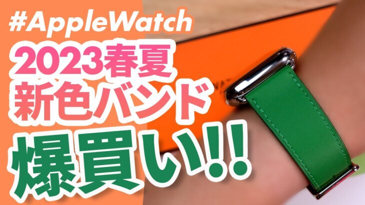 【爆買いしてません🙇】2023年春夏の新色バンド、徹底レビュー！Hermèsの新色「バンブー」が最高すぎた！