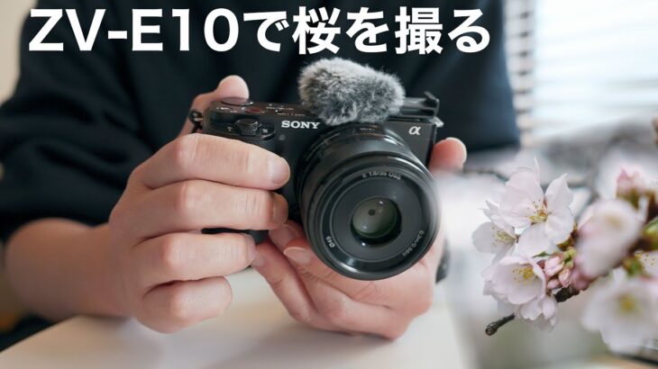 ZV-E10で桜を撮る/単焦点レンズSEL35F18はいいよ〜