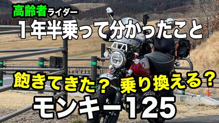 #203【 モンキ−125】モンキ−125に1年半乗って飽きて来ない？そろそろ乗り換えは？今後の展望、レビューとカスタム紹介。