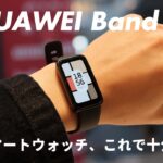 【比較】Apple Watchユーザーが、HUAWEI Band 8を使ってわかった「違い」を解説します。