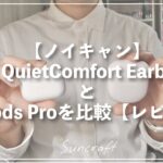 【ノイキャン】Bose QuietComfort Earbuds ⅡとAirPods Proを比較【レビュー】