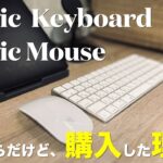 【Mac純正】今さらだけど、やっぱイイわ。Magic Keyboard / Magic Mouse