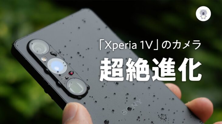 【実機レビューVol.2】Sony 「Xperia 1V」のカメラは本当にすごいのか!? 写真も動画も作例をたっぷりお届け。気になるポイントも!