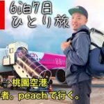 【台湾①】海外旅行におすすめ！peachで行く関西空港から桃園空港まで｜６泊７日｜ひとり旅