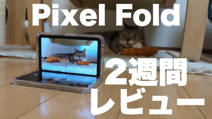 【Pixel Fold】2週間レビュー　画面は大丈夫？　読書・ゲーム・撮影が楽しい