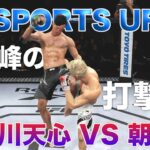 PS4【UFC4】那須川天心VS朝倉海　 立ち技対抗戦　第4試合