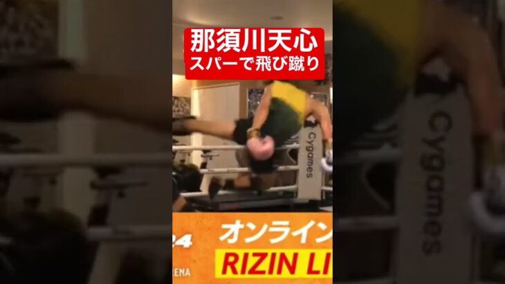 那須川天心　スパーリングで飛び蹴り　【RIZIN 切り抜き】#shorts