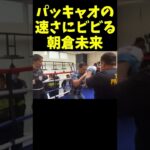 パッキャオのフットワークの速さにビビる朝倉未来 Manny Pacquiao teaches Mikuru Asakura how to beat Floyd Mayweather.