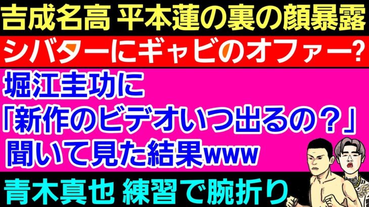 【格闘ニュース】⚪吉成名高 平本蓮の裏の顔を暴露⚪堀江圭功 すぐキレる理由が判明⚪那須川天心 浜辺美波 破局記事が…⚪シバターにギャビ・ガルシアのオファー？⚪青木真也 練習で腕を折る 作業用 雑談