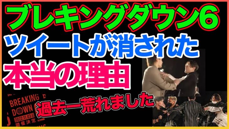 ブレイキングダウン6！今回まじでやばい！！過去一乱闘ありました。。。【青汁王子】【ブレイキングダウン6】【朝倉未来】【ガーシー】  〜切り抜き〜