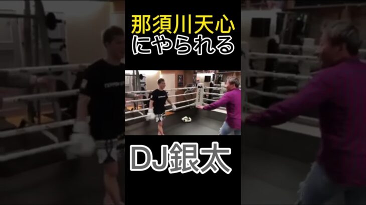 那須川天心にやられるDJ銀太　#レペゼン #repezenfoxx #レペゼン過去動画