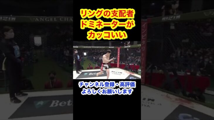 中指に対して紳士なドミネーター　RIZIN 切り抜きチャンネル【名シーン集】#shorts