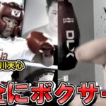 【キックの面影なし】那須川天心vs寺戸伸近のボクシングテクニックを分析してみた。Tenshin Nasukawa vs. Nobuchika Terado
