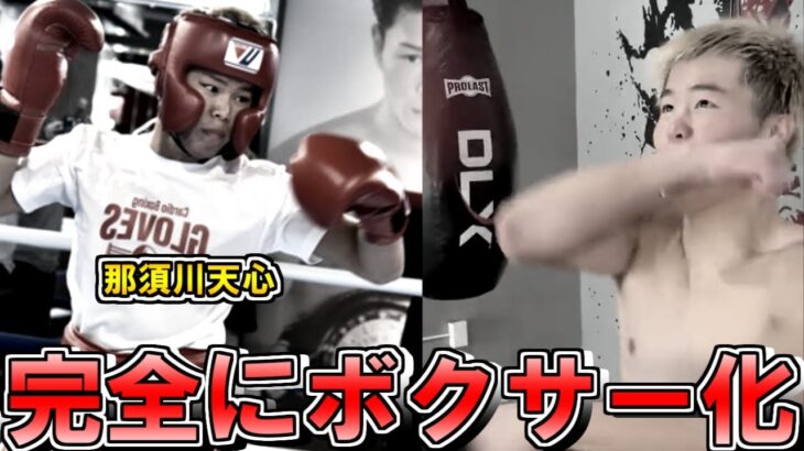 【キックの面影なし】那須川天心vs寺戸伸近のボクシングテクニックを分析してみた。Tenshin Nasukawa vs. Nobuchika Terado