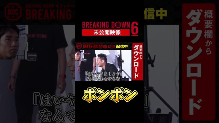 【ブレイキングダウン6】ポンポン #s #breakingdown6 #朝倉未来 #朝倉海 #樋口武大 #高垣勇二