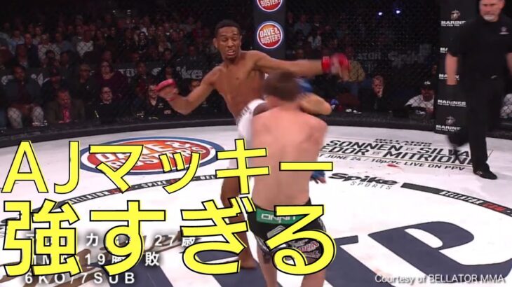 AJマッキーが強すぎてサトシ危うい？【RIZIN】【切り抜き】