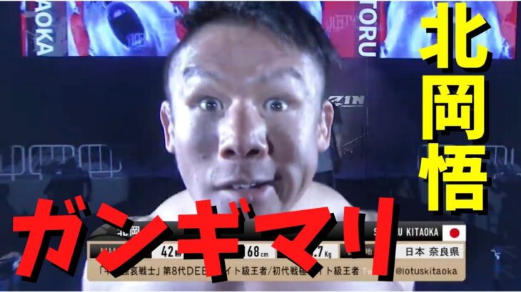 この男危険！！！！！　RIZIN 切り抜きチャンネル【名シーン集】