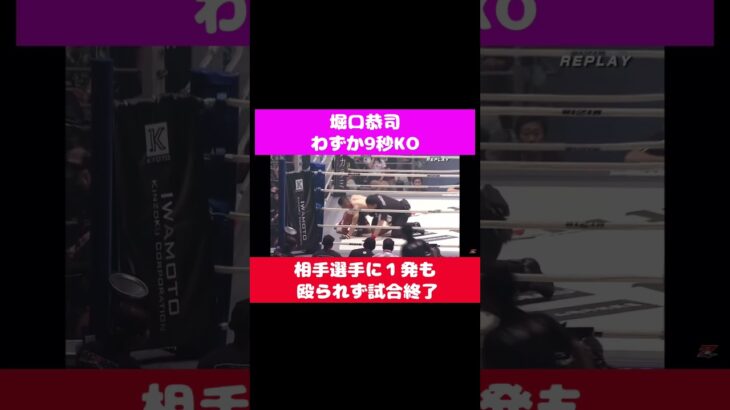 堀口恭司　9秒でKO #shorts #堀口恭司 #rizin #切り抜き #きりぬき