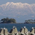 富山･氷見 初春の立山連峰･虻が島とカモメたちのひととき 2023