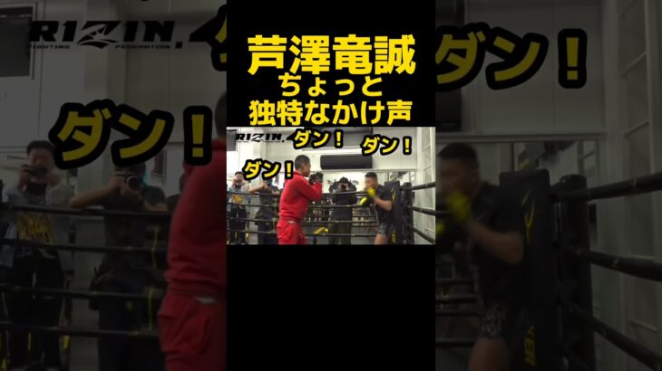 芦澤竜誠のかけ声、ちょっと独特…。〚RIZIN切り抜き〛#rizin #芦澤竜誠 #皇治 #shorts