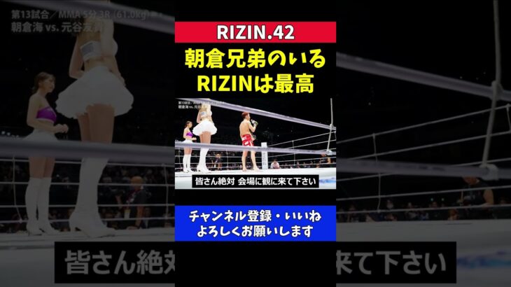朝倉海 KO勝利 朝倉兄弟のいるRIZINは最高【RIZIN42】
