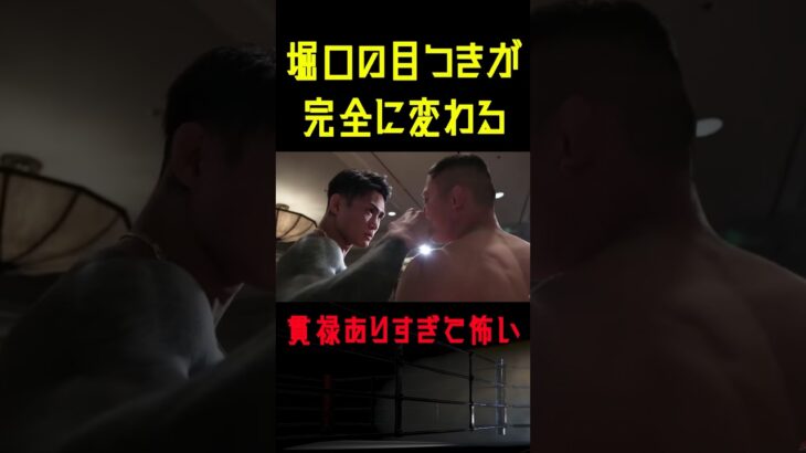 【RIZIN】金太郎に拳を突き付けられ明らかに目つきが変わる堀口恭司が怖すぎる #shorts 【ライジン切り抜き】