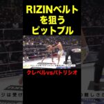 RIZINのベルトを狙うパトリシオ・ピットブル【クレベルコイケ/RIZIN/切り抜き】