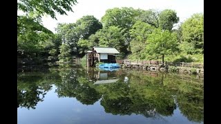 最新ニュース –  渋谷区松濤、気象神社、スカイツリーに柳屋…みんながもう一度行きたい“東京の思い出の場所”は？