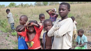 最新ニュース –  『めざまし8』モザンビークの子どもたちをレポート　放送連動で貧困支援のブーケ販売