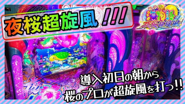 【夜桜超旋風】パチンコ新台！100％ラッシュ突入が想像以上にすごかった海物語パチンコ実戦！【Pスーパー海物語IN沖縄5夜桜超旋風】