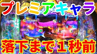 ぐぅパチ#365「朝イチ金魚群にプレミア!?手堅く勝つならやっぱり新海!!」【新海物語】