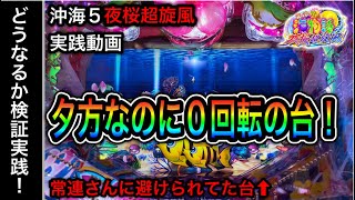 【445日目】Pスーパー海物語in沖縄5夜桜超旋風！常連さんに避けられてた1台がまさかの大爆発？！（ガチ実践動画2022/10/3）