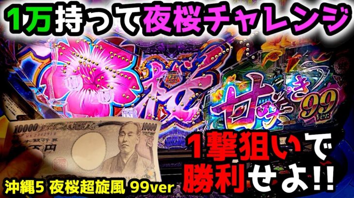 “1万で1撃狙い??”夜桜超旋風99の爆発力にかけた結果…【PAスーパー海物語 IN 沖縄5 夜桜超旋風 99ver.】《ぱちりす日記》319 海物語 99 甘デジ