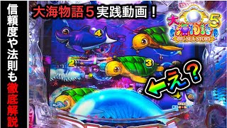 【510日目】P大海物語5実践動画！信頼度や法則も徹底解説してます（ガチ実践動画2023/3/26）