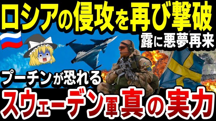 【ゆっくり解説】ロシア軍に立ち向かう 、NATOへ加盟申請したスウェーデン軍の実力！再びロシア侵攻を阻止しバルト海制海権、制空権を守る要の軍！