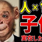 人間とチンパンジーのハーフ『ヒューマンジー』【ゆっくり解説】
