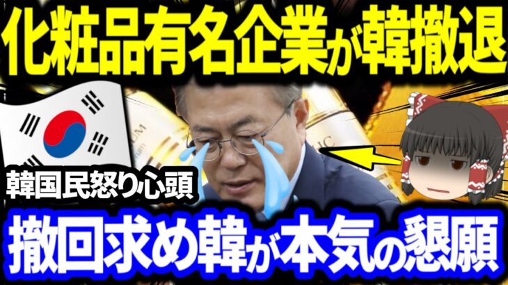 【2022年7月16日 ゆっくり解説】韓国コスメが大崩壊寸前w韓国民の暴走止まらず！