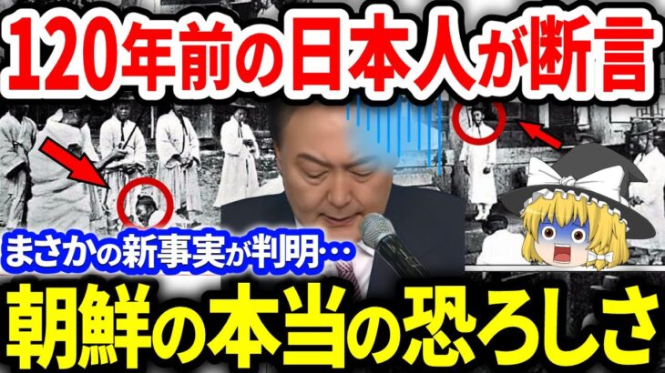 まさかの新事実が判明…！【ゆっくり解説】